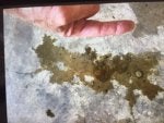 oil on floor.jpg